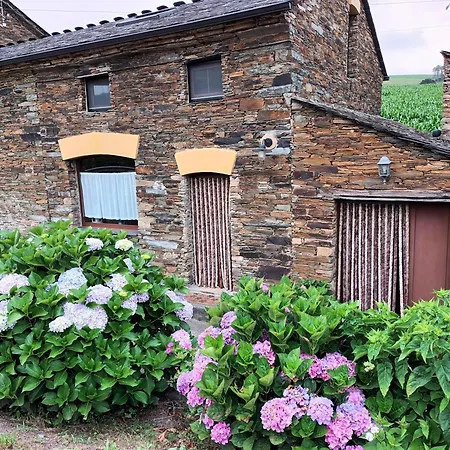 Casa de hóspedes Casa Venancio